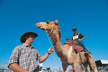 A pre-race training tip from owner to rider