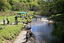 Bogtastic, Exmoor