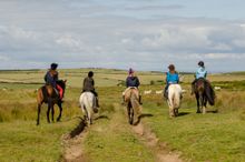 Pony trekking, Exmoor