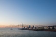 British Airways i360 announces opening date