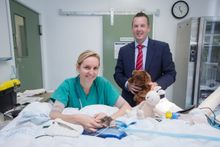 Veterinary Nurse Amy De Boer and Jupiters Gold Coast Chief Operating Officer Mark Mackay at the Currumbin Wildlife Hospital