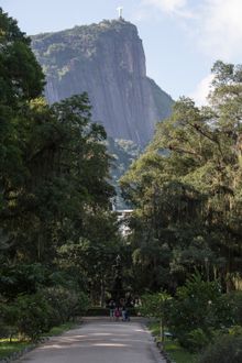 Botanical Garden