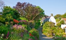 Guernsey's country lanes 