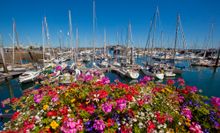 Guernsey's Harbour