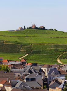 Champagne Vineyards