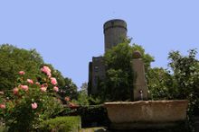 Castle Pyrmont