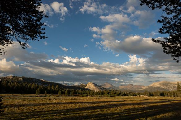 Tuolumne Meadows offeres hiking without the crowds.  Northern California, Tulumne County