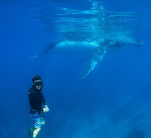 Coral Bay Eco Tours