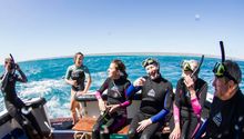 Live Ningaloo