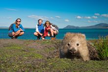 The Wombat capital of the world