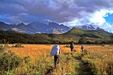 Swoop Patagonia - Torres del Paine