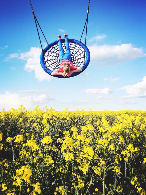 Composite smartphone image of a swing and flowers at Sand le Mere, taken on a smartphone by Elaine Taylor