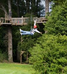 Zip-wiring fun