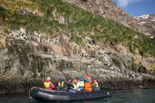 South Georgia Zodiac cruise