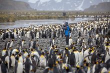 Photography Masterclass South Georgia