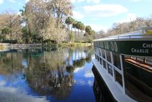 Glass Bottom Boat Tour, Silver Springs Ocala Florida