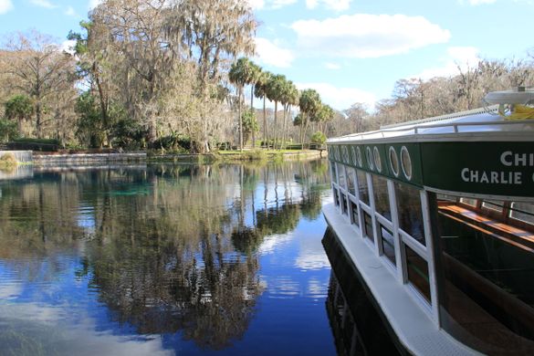 Glass Bottom Boat Tour, Silver Springs Ocala Florida