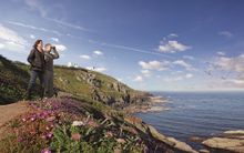 Bird-spotting on the UK coast with SWAROVSKI OPTIK