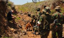 On exercise with the Dog Squad, Lewa Conservancy Kenya