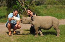 Ringo rhino orphan, Ol pejeta, Kenya