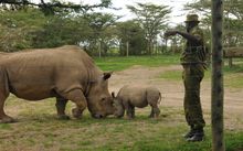 Ol Pejeta, kenya