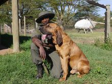 Ranger with Tipper