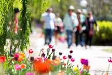Floriade - Australia's largest celebration of spring