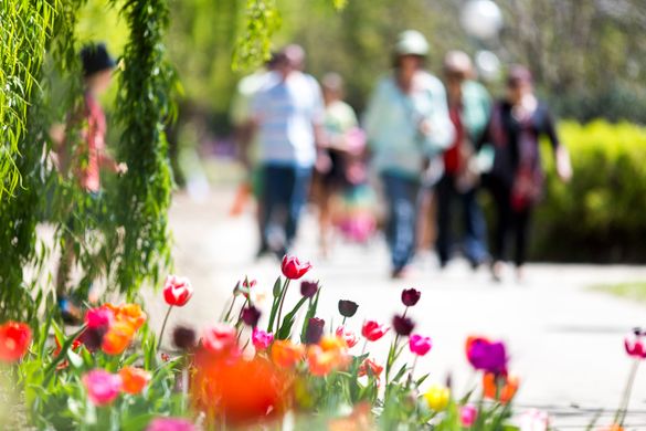 Floriade - Australia's largest celebration of spring