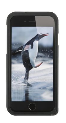 An Arctic image saved directly from your SWAROVSKI OPTIK lenses to your iPhone*