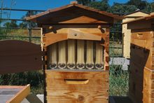 Flow Hives at Jordan Winery