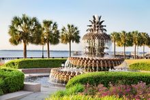 Charleston's gardens
