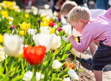 Celebrate the turn of the season at Floriade