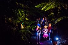 Gather your family for a night-time botanical scavenger hunt at the Australian National Botanic Gardens