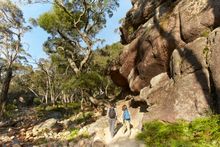 Grampians Peaks Trail