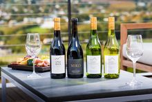 Virgin Limited Edition - Wines - Mont Rochelle