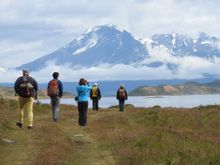 Swoop Patagonia