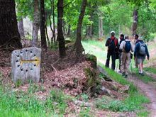 Camino guided tours 2016
