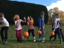 Pumpkin Rolling