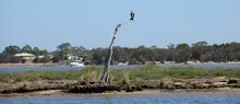 Peel-Harvey Estuary in Mandurah