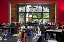 Oakdene Vineyards