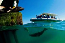 South Bay Eco Adventures