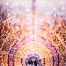 The UK's First Tunnel of Light, Christmas, Norwich, 2016 