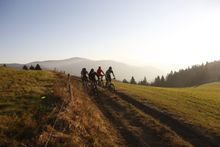 Black Forest