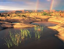 PotHole Point Needles District of Canyonlands National Park