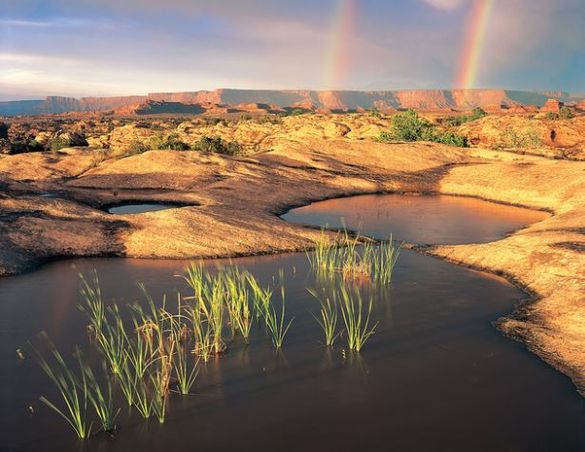 PotHole Point Needles District of Canyonlands National Park