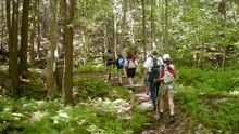 New Life Hiking Spa