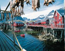 Lofoten Islands