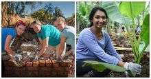Travelers have the opportunity to contribute to sustainable development work