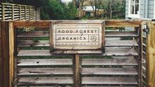 Film maker James Cameron owns Food Forest Organics in Greytown
