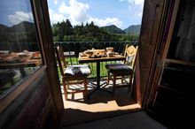 Apartment Genepi - rustic alpine accommodation for 4 